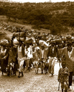 Remembering the Rwanda genocide – 30 years on