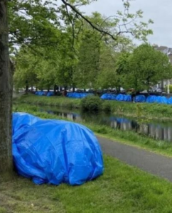 Ireland failing asylum seekers, court told