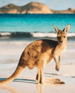 Australia among the most desirable migration destinations