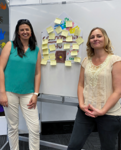 Community Hubs supporting inclusion and social cohesion