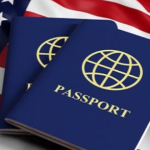 Migration key to US population stability