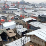 Rohingya genocide day marked