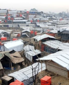 Rohingya genocide day marked