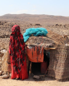 War, drought driving displacement in Ethiopia