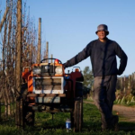 New program supporting migrant workers from the Pacific