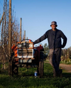 New program supporting migrant workers from the Pacific