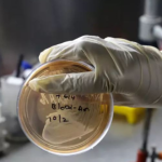 Superbugs pose a threat to refugee communities – report