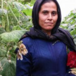 Syria now facing humanitarian crisis