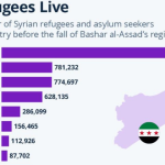 What next for the Syrian diaspora?
