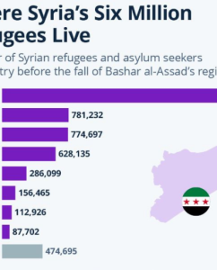 What next for the Syrian diaspora?