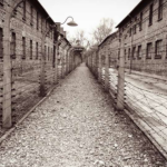 Holocaust victims remembered as xenophobia on the rise