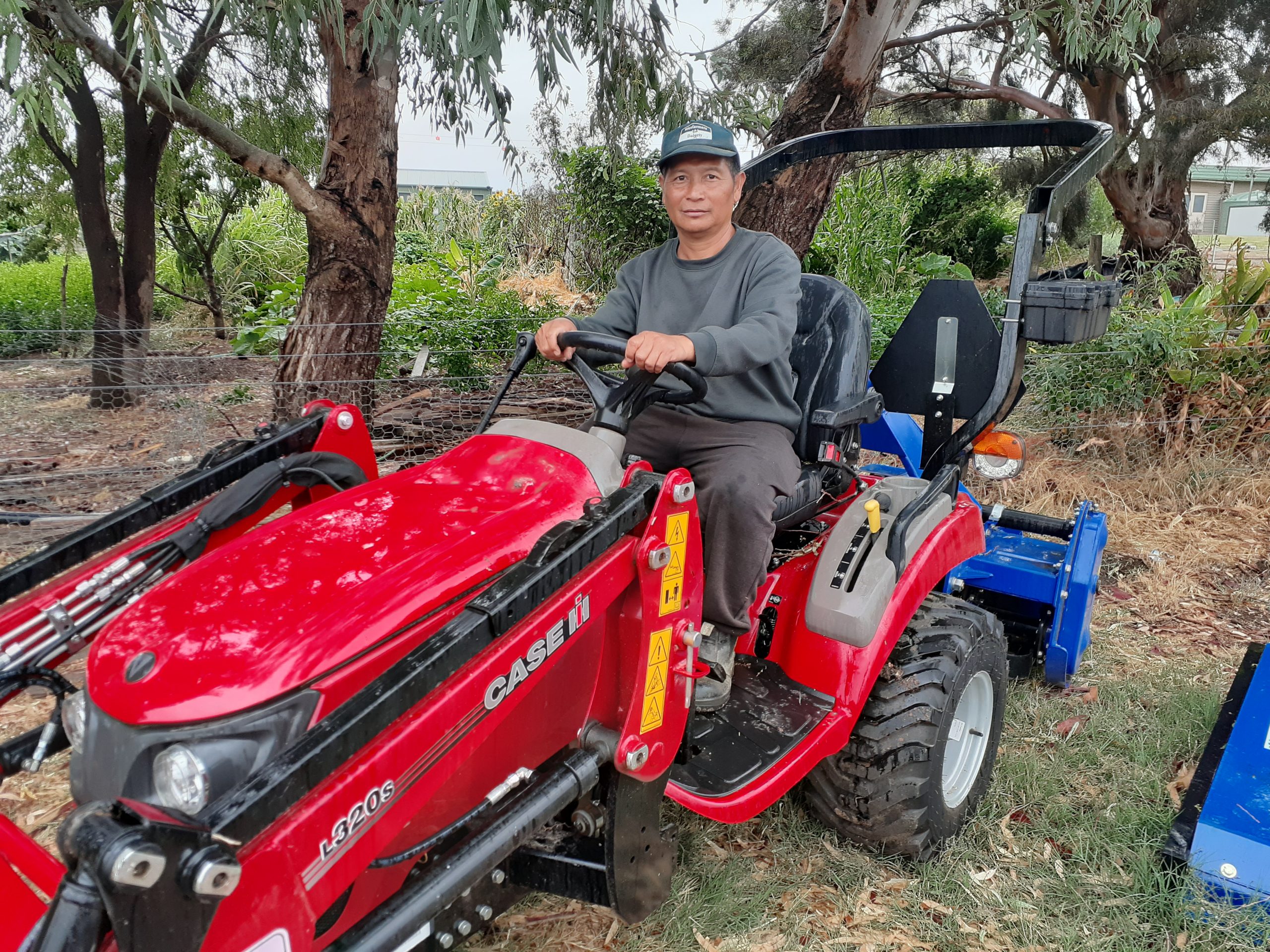 Refugee garden and community blooming
