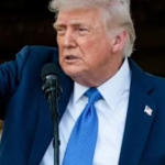 Trump travel bans slammed