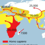 Humanity’s longest migration revealed